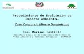 Proyecto Consorcio Minero Dominicano  Unphu (Marisol Castillo)