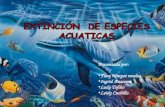 Especies acuaticas