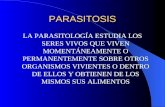 14 Parasitosis