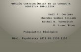 Función Corticolímbica en la Conducta Agresiva Impulsiva