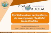 Presentación redCOLSI Nodo Córdoba 2014