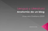 AnatomíA De Un Blog
