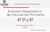 Diagnostico 2011-2012