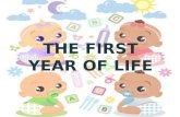 The first year of life