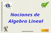 07 nociones de algebra lineal