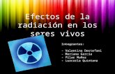 Efectos de la radiación en los seres vivos