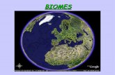 1.marta biomes