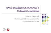 De la intel·ligència emocional a l'educació emocional