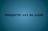Projecte EduCAT1X1 al Llor
