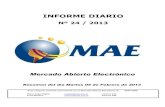 Informe Diario MAE 05-02-13