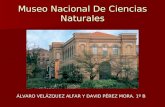 Museo nacional de Ciencias Naturales