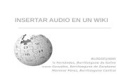 Insertar audio en un wiki