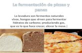 La fermentaci n_de_pizzas_y_panes (1)