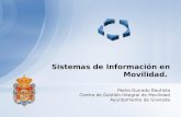 Sistemas de Información en Movilidad