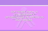 Software conversion