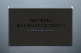 Sistema nervioso neuro vegetativo v. f. #je