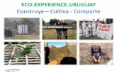 Eco experience uruguay - An alternative way of life