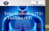 Triyodotironina (t3) y tiroxina (t4