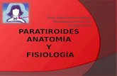Paratiroides anatomia y fisiologia