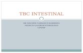 S05 B Tbc Intestinal Usmp
