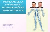 03-05-2012 Profilaxis de la enfermedad tromboembólica venosa en mm.ii. ppt