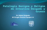 Patologia Benigna Y Maligna De Intestino Delgado Y Grueso
