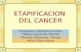 Etapificacion del Cancer