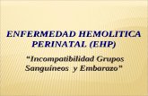 17 Enfermedad HemolíTica Perinatal