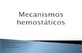 Mecanismos HemostáTicos