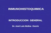 Tm 1 intr._inmunohistoquimica