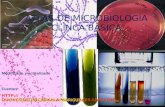 Atlas microbiologia-