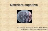Deterioro cognitivo modificado (1)