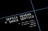 Sepsis severa y shock septico