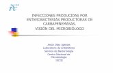 Infecciones producidas por enterobacterias productoras de Carbapenemasas. Visión del microbiólogo.