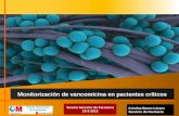 Monitorización vancomicina en pacientes críticos
