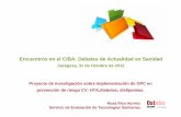 Proyecto de investigación sobre implementación de GPC en prevención de riesgo CV: HTA,diabetes, dislipemias.. Rosa Rico Iturrioz