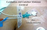 Cuidados del catéter venoso central