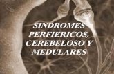 Sindromes perfiericos, cerebeloso y medulares