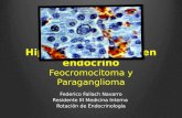 Hipertension de origen endocrino (Feocromocitoma)