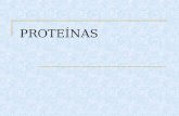 Proteínas - quimica biologica