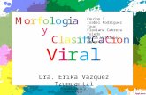 Morfologia y clasificacion viral