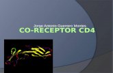 Receptor CD4