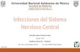 Pediatría - Infecciones del sistema nervioso central