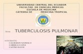 Tuberculosis exposicion