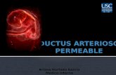 Ductus Arteriosus