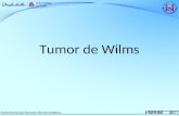 7.  Tumor de Wilms Pediatría