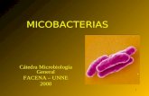 Mycobacterias TeóRico 2008
