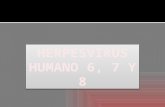 Herpesvirus humano 6, 7 y 82012