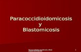 Paracoccidioidomicosis 1 [1]