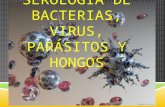 Serología de bacterias, virus y parasitos